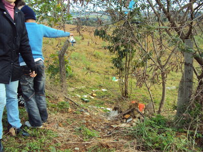 alunos realizando a coleta de lixo