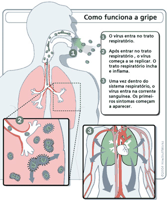 esquema sobre o funcionamento da gripe