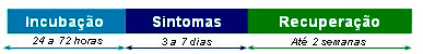 tabela que mostra sobre o perodo de incubao