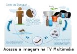 imagem do ciclo de transmisso da dengue