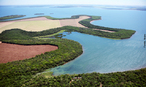 A foto  refernte a mata ciliar que contorna todo o lago de Itaipu e ajuda a preservar a boa qualidade da gua. </br></br> Palavra-chaves: mata ciliar, foramo vegetal, mata de galeria, vrzea.