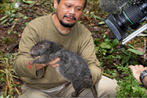 Um roedor gigante, cinco vezes maior do que o rato comum, foi descoberto por uma equipe de pesquisadores americanos na rea montanhosa de Foja, nas florestas da sia. O rato gigante Mallomys tem 1,4 quilo e  uma das duas espcies de mamferos que podem ser novas para a cincia e que foram registradas durante uma expedio a uma rea descrita como "mundo perdido", na Indonsia. </br></br> Palavra-chaves: rato gigante, mamfero roedor, espcies.