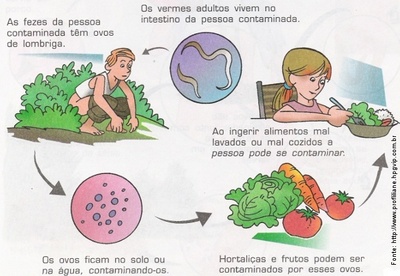 Ascariasis kezelés gyermekeknél gyógyszerek - gvill.hu