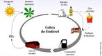 O ciclo ou cadeia de funcionamento dos biocombustveis comea com a energia vinda do sol. As plantas absorvem esta energia atravs da fotossntese a armazenam sob vrias formas. Uma destas formas  o leo vegetal que pode ser convertido em biodiesel e utilizado em veculos de transportes. Os veculos e motores por sua vez, extraem a energia do biodiesel e liberam CO2, que pode ser reutilizado pelas plantas. <br /><br /> Palavras-chave: biodisel, ciclo de funcionamento, energia, plantas, meio ambiente.