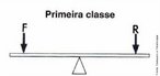 Alavancas de primeira classe ou interfixas