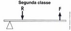 Alavanca  uma barra que pode girar em torno de um ponto de apoio. As alavancas podem ser divididas em trs classes: Alavancas da primeira classe (alavancas interfixas), Alavancas de segunda classe(alavancas inter-resistentes) e alavancas de terceira classe (alavancas interpotentes). Nas da segunda classe, o ponto de aplicao da fora de resistncia (alavancas inter-resistentes) est entre o da fora de ao e o ponto de apoio. <br /><br /> Palavras-chave: maquina simples, alavanca de segunda classe, inter-resistente.