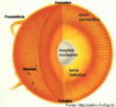 Partes do Sol