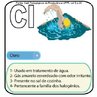 Imagem do smbolo qumico do Cloro (Cl) e suas aplicaes. O Cl tem nmero atmico (Z) = 17 e Massa Atmica (A) = 35, est localizado na grupo 17 ou famlia 7A e no 3o perodo da tabela peridica dos elementos qumicos, sua distribuio eletrnica  K2 L8 M8 N7. <br /><br /> Palavras-chave: cloro, smbolos qumicos, tabela peridica.