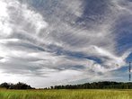 So nuvens altas, largas, de cor branca, formadas por finssimos cristais de gelo. Sua presena no cu indica ausncia de chuva. <br /><br /> Palavras-chave: nuvem, cirros, tempo.