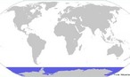 O oceano glacial Antrtico se estende desde a costa antrtica at  latitude de os 60 S; limite convencional com o Oceano Atlntico, o Oceano Pacfico e o Oceano ndico.  o penltimo oceano em extenso (s o oceano rtico  menor). Formalmente, sua extenso foi definida pela Organizao Hidrogrfica Internacional no ano 2000 e coincide com os limites fixados pelo tratado Antrtico. <br /><br /> Palavras-chave: oceano, antrtico, hidrografia.