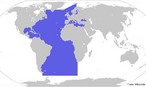O oceano Atlntico  o segundo maior oceano em extenso, com uma rea de aproximadamente 106.200.000 km, cerca de um quinto da superfcie da Terra.  o oceano que separa a Europa e a frica a Leste, da Amrica, a Oeste. <br /><br /> Palavras-chave: oceano, atlntico, hidrosfera.