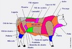 Conjunto de tecidos de cor e consistncia que recobre o esqueleto de animais. O corte de carne apresenta tecido muscular, tecido conjuntivo, gorduras e s vezes ossos. Os rgos internos so chamados de midos, tambm podem ser classificados como carnes. As carnes so fontes de protenas de alta valor biolgico, gorduras, vitaminas do complexo B, vitamina A e minerais como ferro, zinco, clcio, fsforo, magnsio, sdio e potssio. <br /><br /> Palavras-chave: carnes, tecidos, vitaminas, minerais.