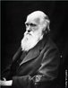 Considerado o "Pai" da Evolução. Em seu livro "A origem das espécies" (1859), introduziu a ideia de evolução a partir de um ancestral comum, por meio de seleção natural a qual, se tornou a explicação científica dominante para a diversidade de espécies na natureza. <br /><br /> Palavras-chave: evolução, seleção natural, Darwin.