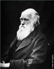 Considerado o "Pai" da Evoluo. Em seu livro "A origem das espcies" (1859), introduziu a ideia de evoluo a partir de um ancestral comum, por meio de seleo natural a qual, se tornou a explicao cientfica dominante para a diversidade de espcies na natureza. <br /><br /> Palavras-chave: evoluo, seleo natural, Darwin.