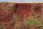 A erosão é um processo que faz com que as partículas do solo sejam desprendidas e transportadas pela água, vento ou pelas atividades do homem. O controle da erosão é fundamental para a preservação do meio ambiente, pois o processo erosivo faz com que o solo perca suas propriedades nutritivas, impossibilitando o crescimento de vegetação no terreno atingido e causando sério desequilíbrio ecológico. <br /><br /> Palavras-chave: erosão, solo, desequilíbrio ecológico, meio ambiente.