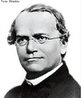 Gregor Mendel (1822-1884)  chamado, com mrito, o pai da gentica. Em seus experimentos com plantas e animais, Mendel concluiu que os seres vivos eram portadores de "fatores", hoje chamados de genes, responsveis por determinadas caractersticas de um indivduo. E que eessse "fatores" seriam transmitidos aos descendentes por meio de gametas. Seus experimentos no foram, poŕem, reconhecidos no meio cientfico da poca. Somente em 1900, aps vrias pesquisas, o trabalho de Mendel foi resgatado e os fundamentos da gentica foram <br /><br /> Palavras-chave: Gregor Mendel, gentica, hereditariedade, genes.