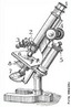 Os primeiros microscópios foram construídos no século XVI, mas somente no século XVII foram utilizados com finalidades biológicas. <br /><br /> 1-Ocular; <br /> 2-Revólver; <br /> 3-Objectiva; <br /> 4-Parafuso macrométrico; <br /> 5-Parafuso micrométrico; <br /> 6-Platina; <br /> 7-Espelho; <br /> 8-Condensador <br /> Palavras-chave: microscópio óptico, microscópio de luz, microscopia.