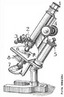 Os primeiros microscpios foram construdos no sculo XVI, mas somente no sculo XVII foram utilizados com finalidades biolgicas. <br /><br /> 1-Ocular; <br /> 2-Revlver; <br /> 3-Objectiva; <br /> 4-Parafuso macromtrico; <br /> 5-Parafuso micromtrico; <br /> 6-Platina; <br /> 7-Espelho; <br /> 8-Condensador <br /> Palavras-chave: microscpio ptico, microscpio de luz, microscopia.