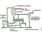 A pasteurizao  um tratamento trmico que elimina os microorganismos termossensveis (todos os patognicos e outros no esporulados) existentes no alimento. A temperatura no passa dos 100C, podendo este aquecimento ser produzido por vapor, gua quente, radiaes ionizantes, calor seco, microondas, etc. Utiliza-se a pasteurizao quando os tratamentos trmicos mais elevados trazem perdas de qualidade significativas, quando os agentes microbianos responsveis pelas alteraes no alimento no so muito termorresistentes ou quando deseja-se destruir agentes competitivos (ex: antes de uma fermentao). Exemplo de pasteurizao no processamento de: catchup, cerveja, molho de pimenta, suco de laranja concentrado, vinagre de ma, etc. <br /><br /> Palavras-chave: pasteurizao, alimentos, microorganismos, processamento, tratamento trmico.